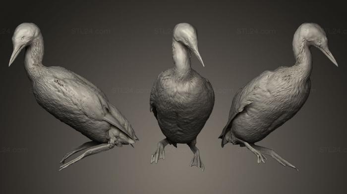 Статуэтки птицы (Обыкновенная гагара, STKB_0087) 3D модель для ЧПУ станка